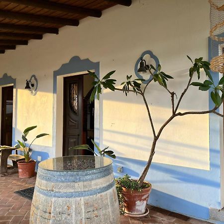 הוילה Vila Verde de Ficalho Aproveite O Sabor Do Alentejo מראה חיצוני תמונה