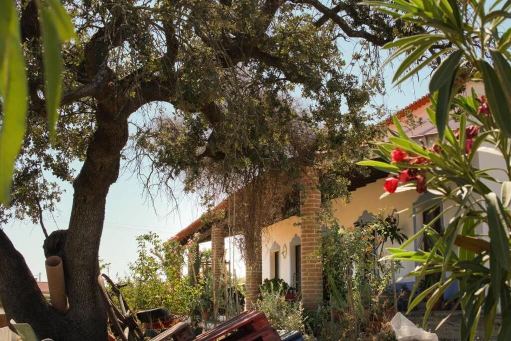 הוילה Vila Verde de Ficalho Aproveite O Sabor Do Alentejo מראה חיצוני תמונה