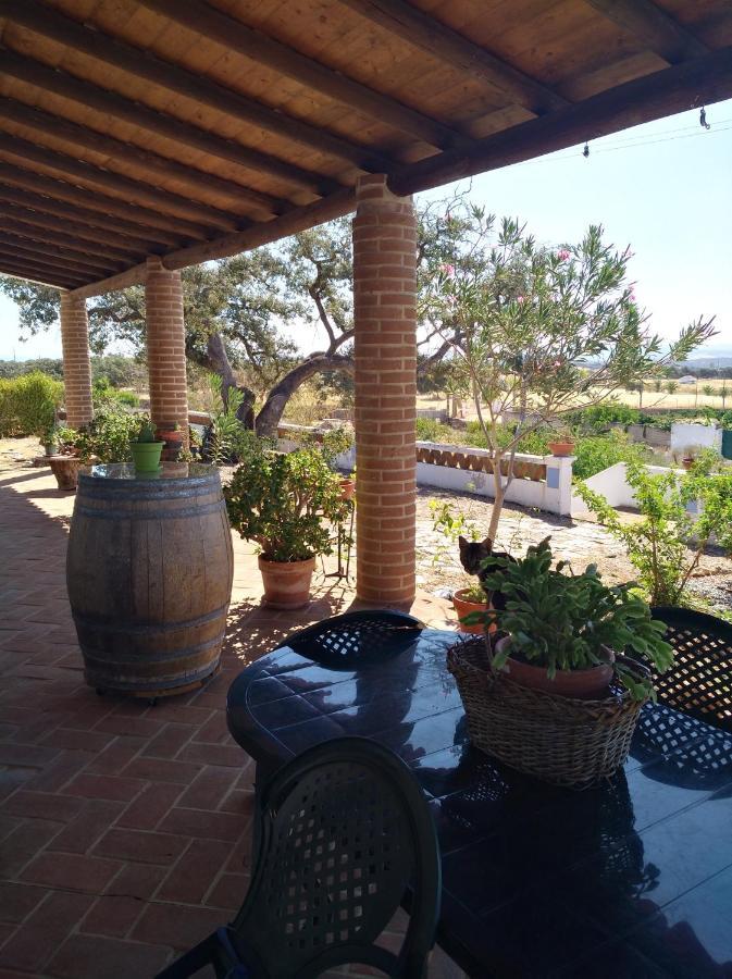 הוילה Vila Verde de Ficalho Aproveite O Sabor Do Alentejo מראה חיצוני תמונה