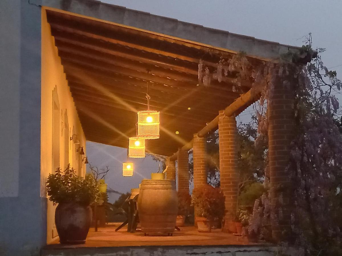 הוילה Vila Verde de Ficalho Aproveite O Sabor Do Alentejo מראה חיצוני תמונה
